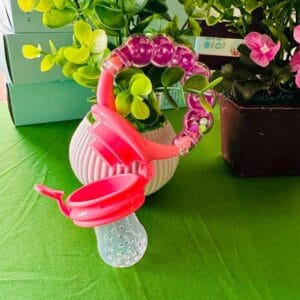 Baby Fruit Feeder Pacifier with jhunjhuni